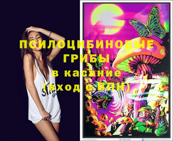 прущие крисы Армянск