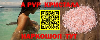 крисы Нальчик