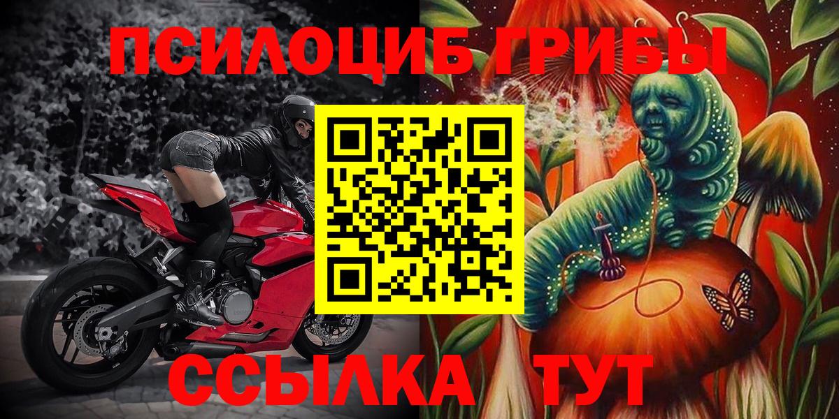 Галлюциногенные грибы MAGIC MUSHROOMS  Вход с VPN  Чистополь 